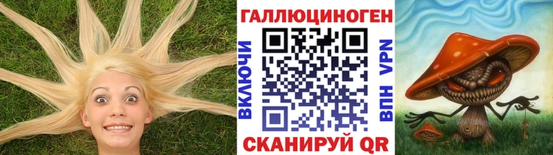 Псилоцибиновые грибы Psilocybe Приозерск